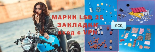 прущие грибы Бугульма