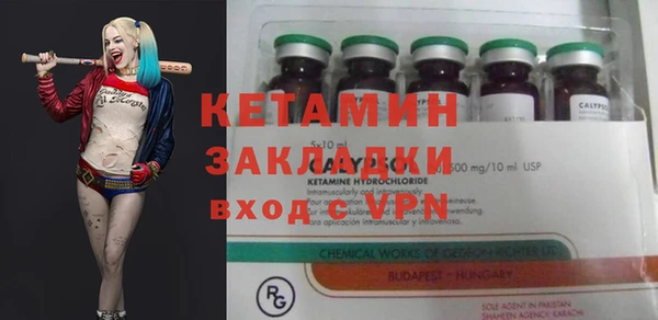 PSILOCYBIN Бородино