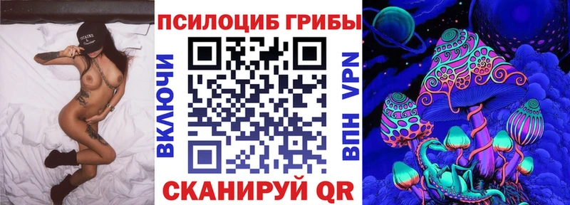 Псилоцибиновые грибы Psilocybine cubensis  Купить  Медногорск 